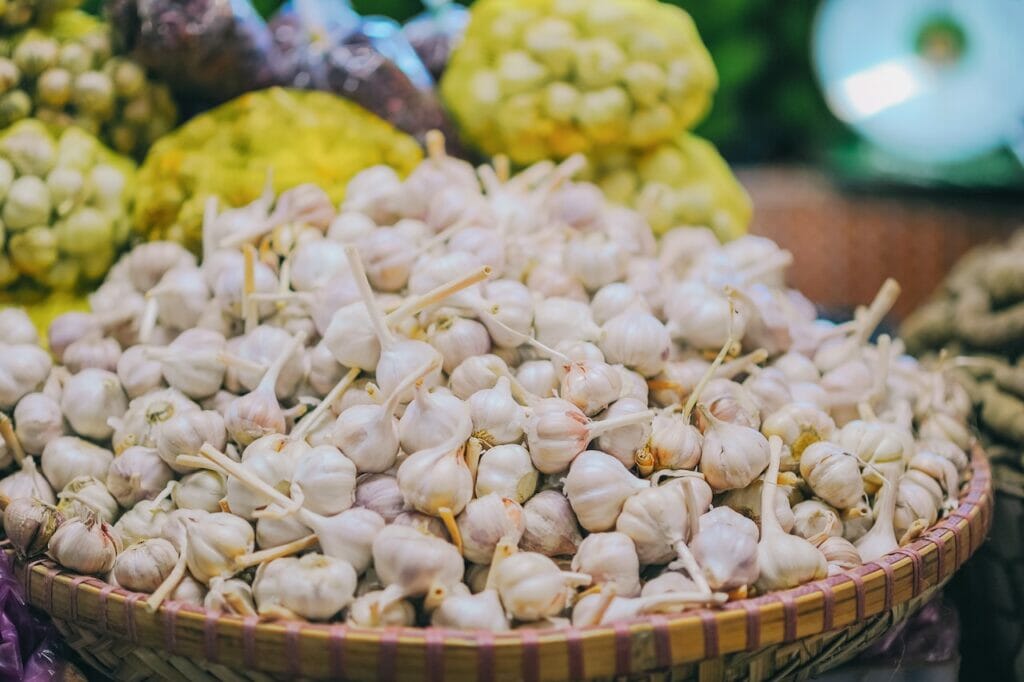 garlic, most used kitchen ingredients