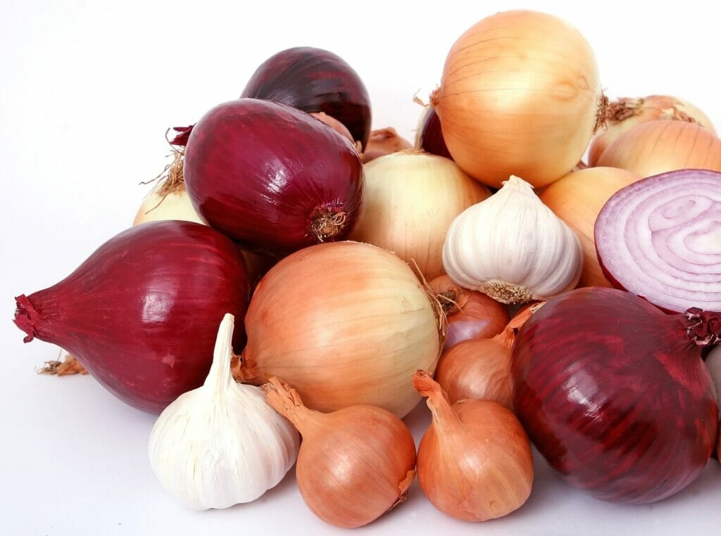 onions, most used kitchen ingredients